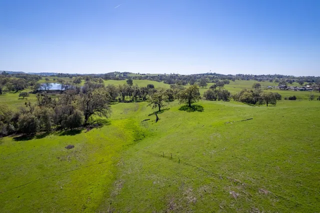 a view of a field with an ocean