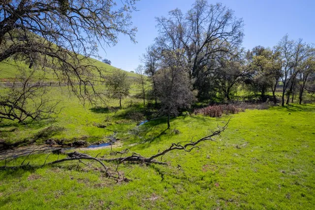 a yard with swimming pool and green space