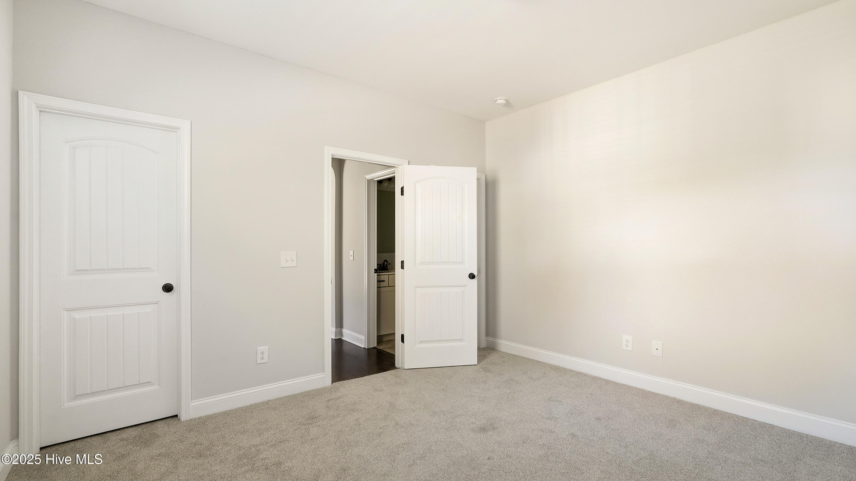 162 Union Church Road Carthage, NC 28327 - Photo 20 of 47 Downstairs bedroom