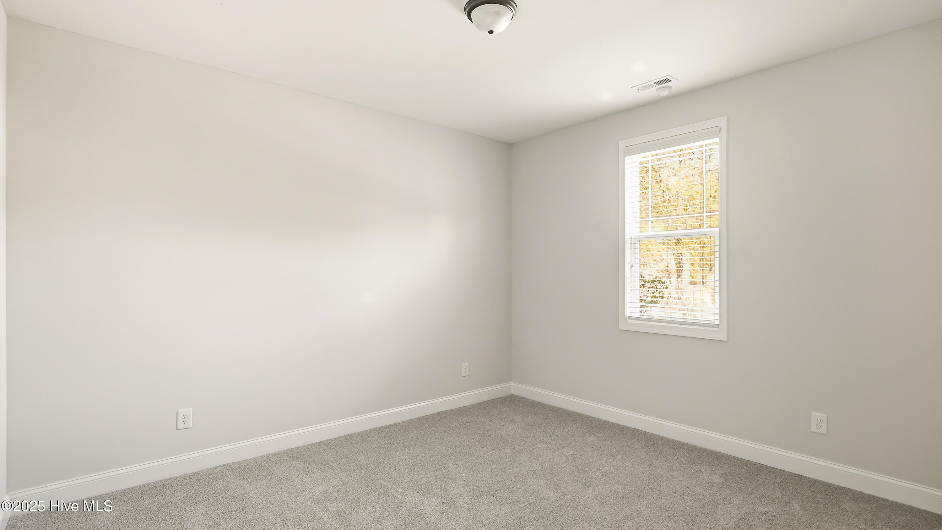 162 Union Church Road Carthage, NC 28327 - Photo 21 of 50 Downstairs bedroom