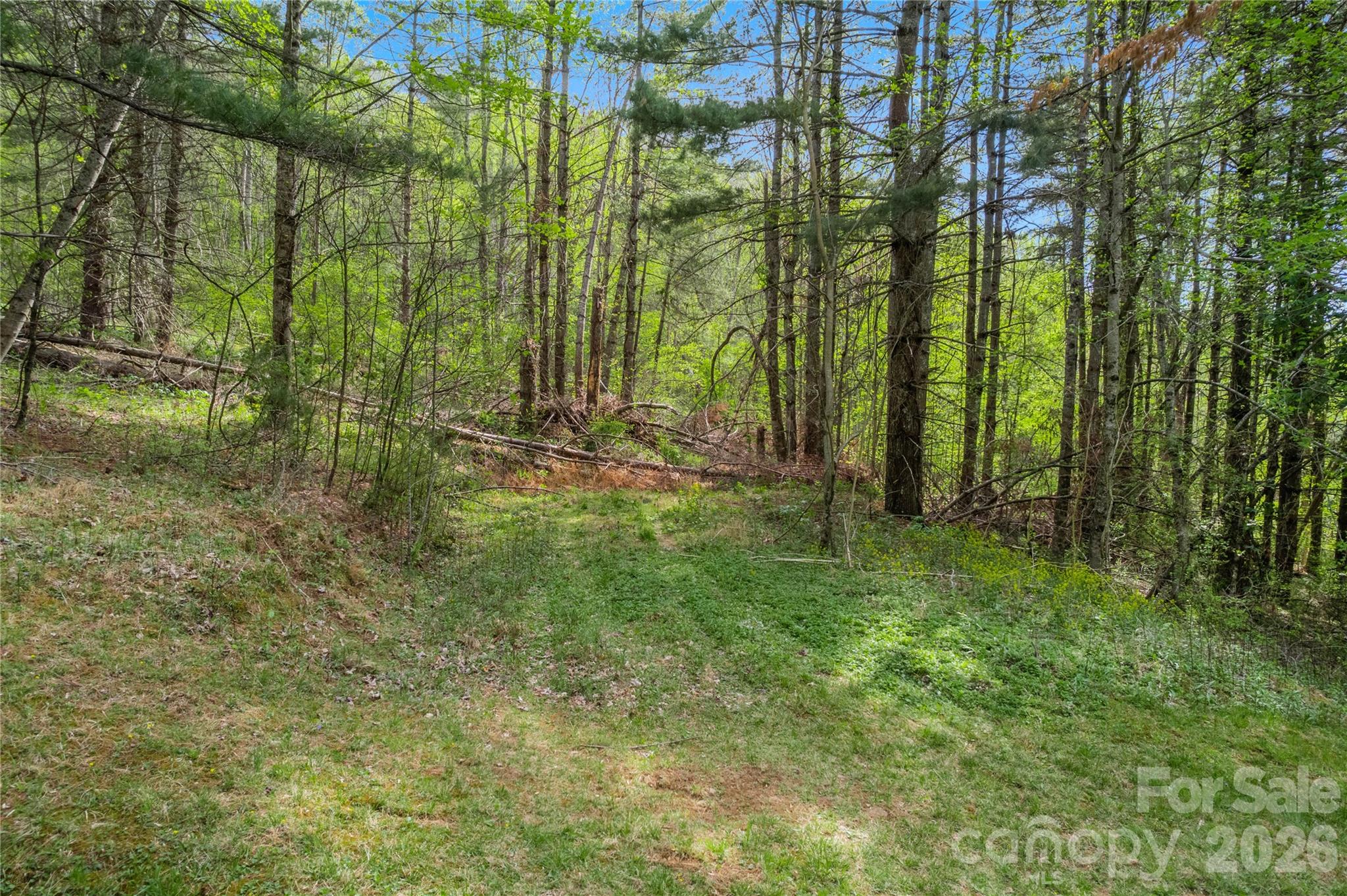 0 Apple Farm Road Bakersville, NC 28705 - Photo 11 of 24