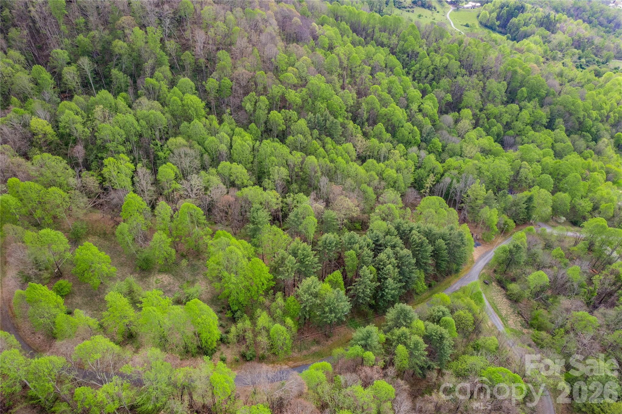 0 Apple Farm Road Bakersville, NC 28705 - Photo 12 of 24