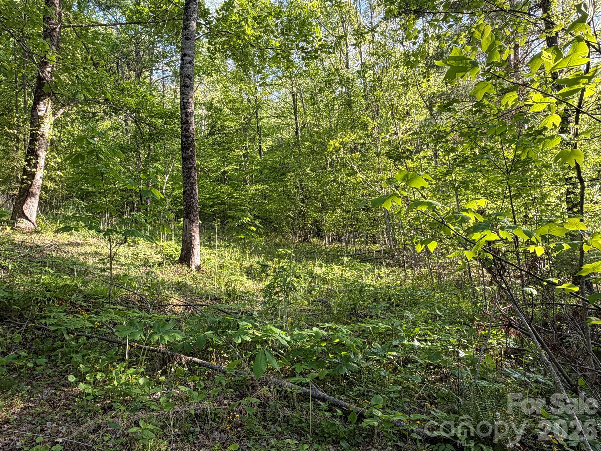 0 Apple Farm Road Bakersville, NC 28705 - Photo 15 of 24