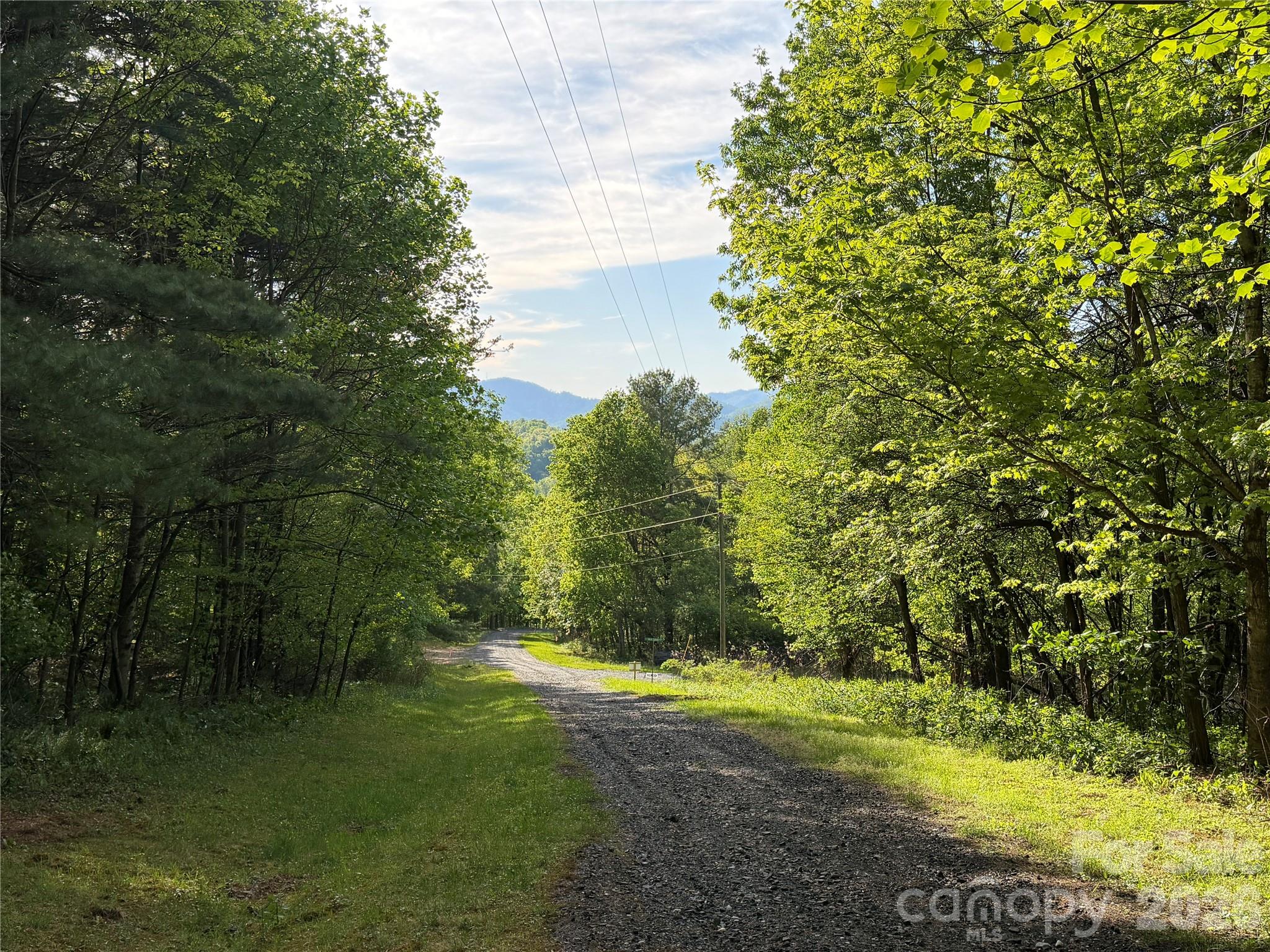 0 Apple Farm Road Bakersville, NC 28705 - Photo 2 of 24