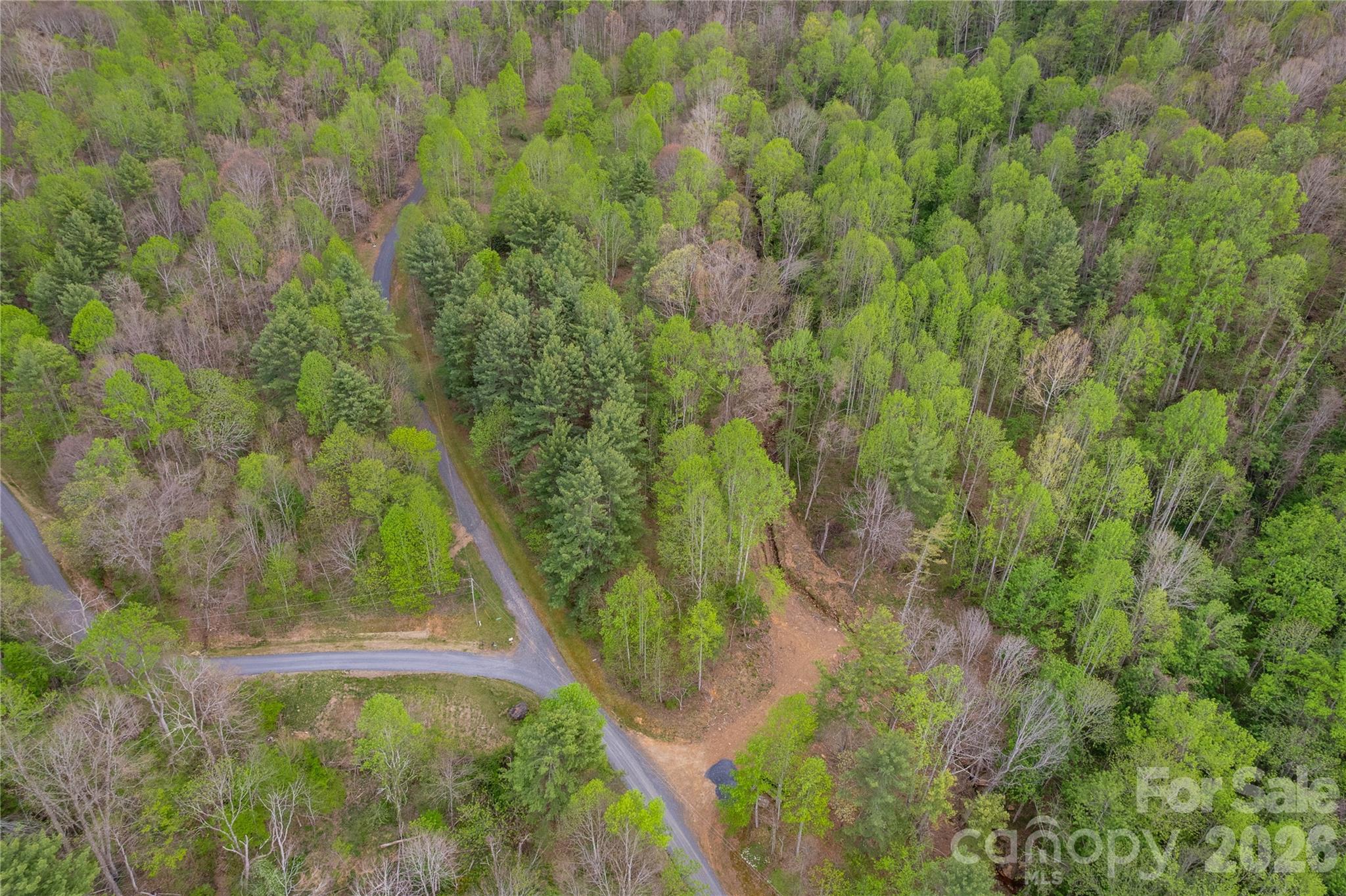 0 Apple Farm Road Bakersville, NC 28705 - Photo 22 of 24