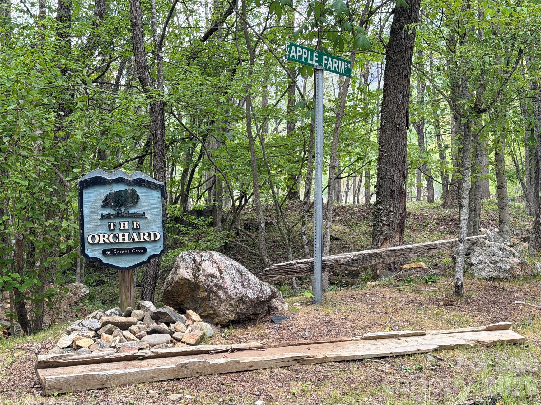 0 Apple Farm Road Bakersville, NC 28705 - Photo 4 of 24