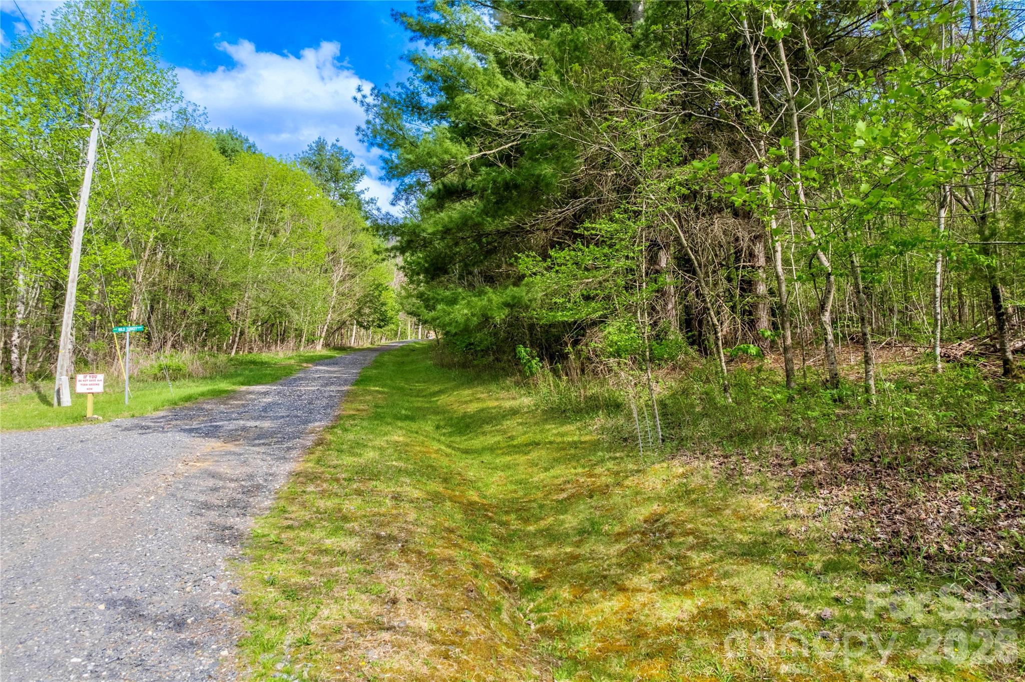 0 Apple Farm Road Bakersville, NC 28705 - Photo 7 of 24
