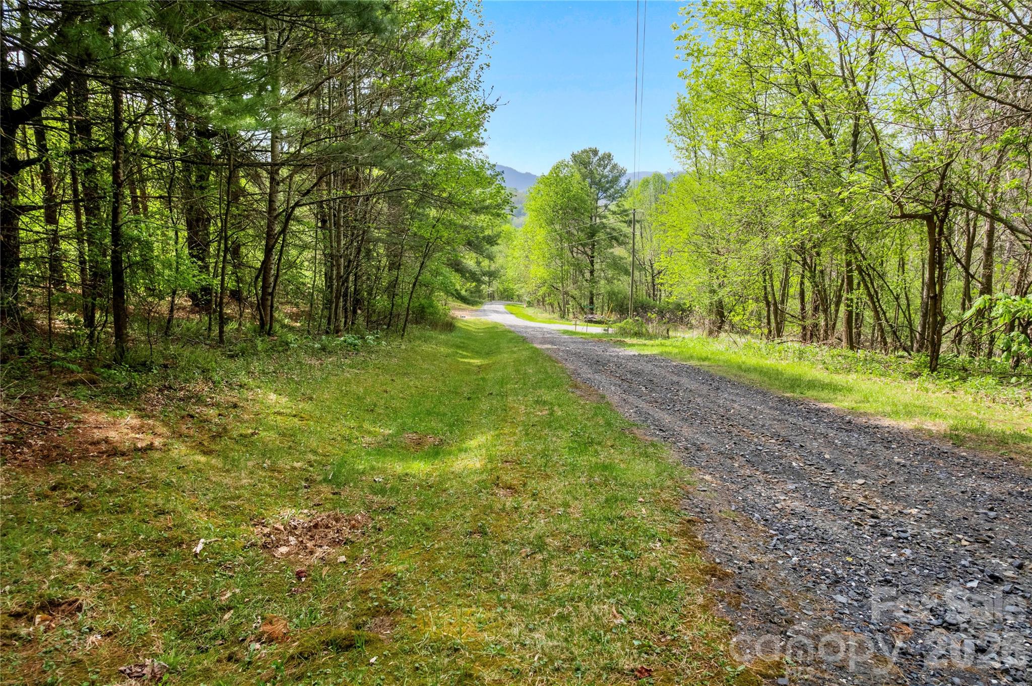 0 Apple Farm Road Bakersville, NC 28705 - Photo 8 of 24