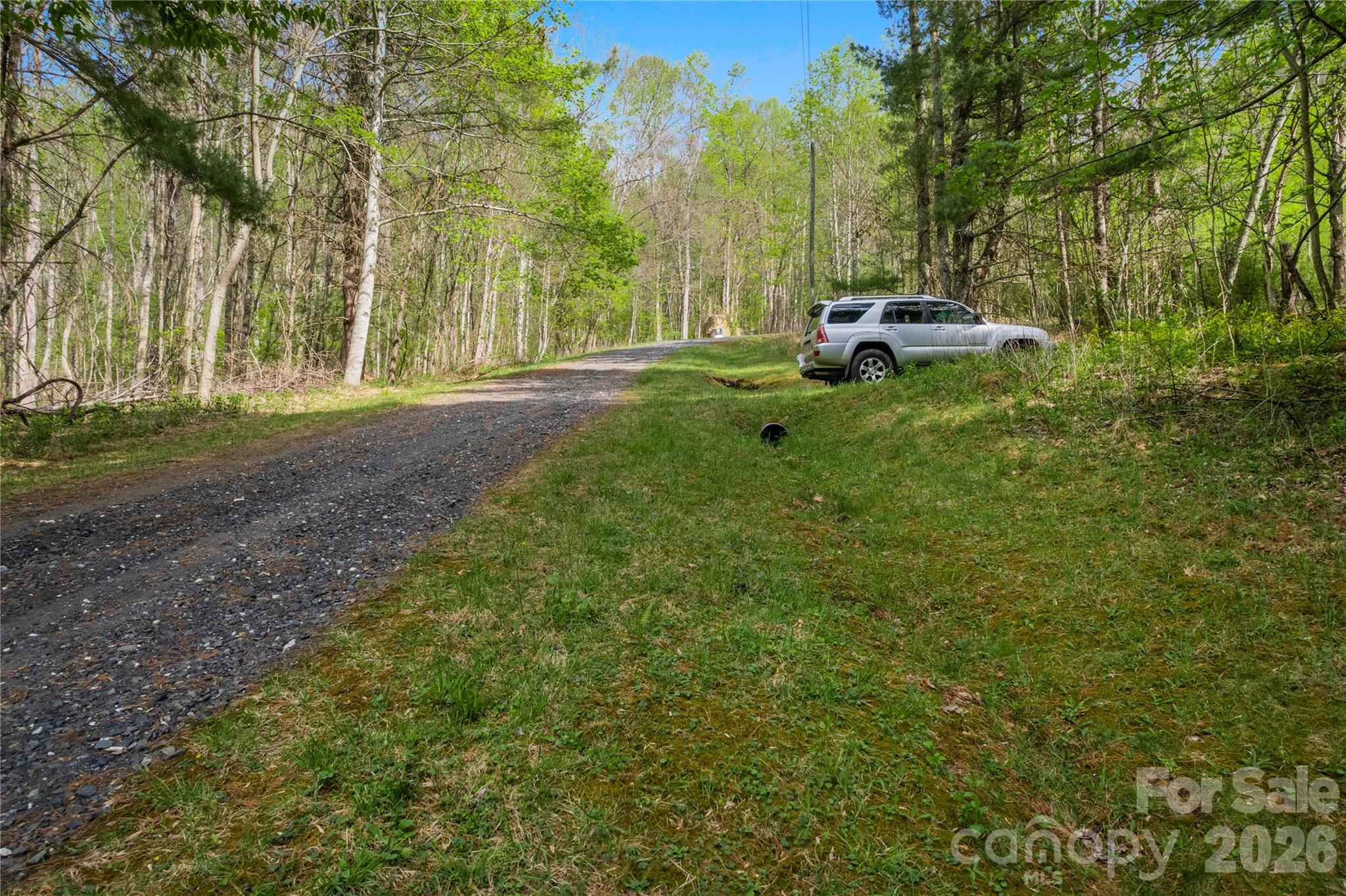 0 Apple Farm Road Bakersville, NC 28705 - Photo 9 of 24