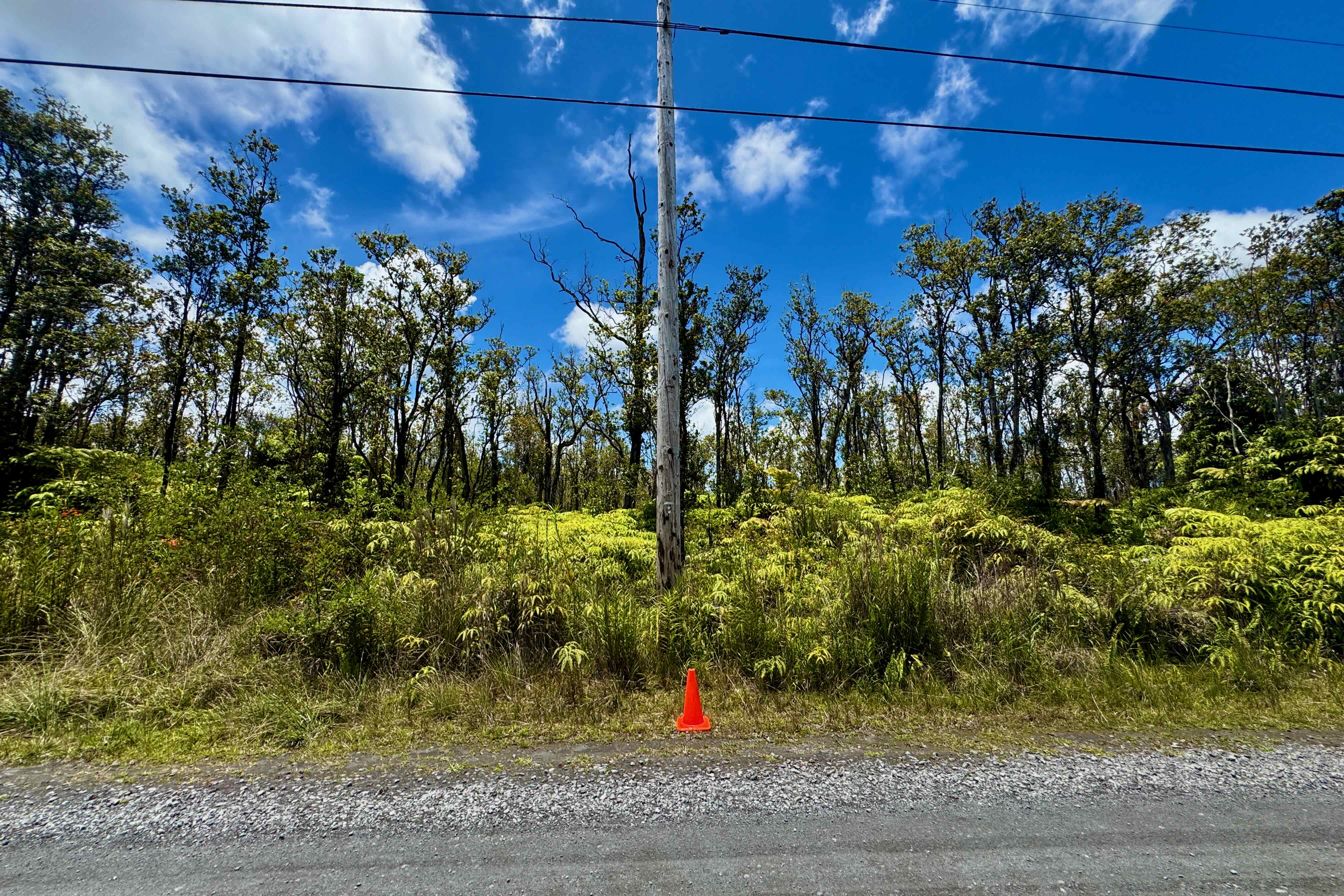 56 Makoa Road Mountain View, HI 96771 - Photo 4 of 11