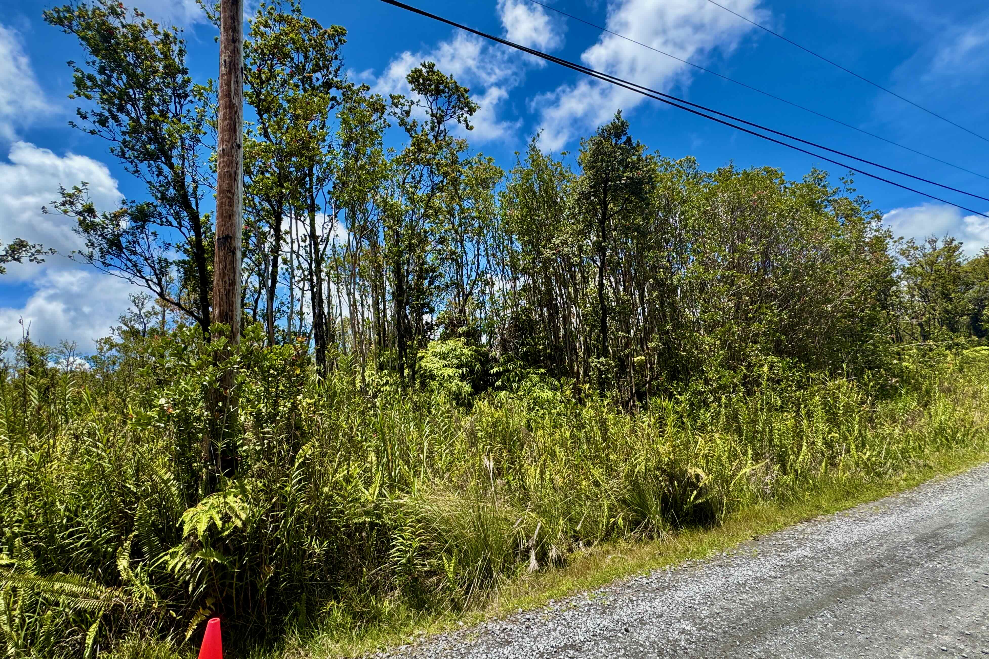 56 Makoa Road Mountain View, HI 96771 - Photo 5 of 11 a view of a yard