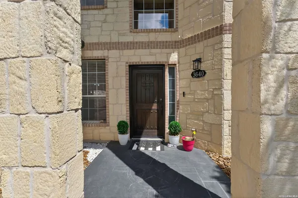 a potted plant sitting in front of a door