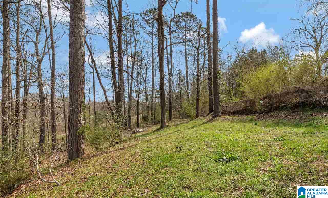 2316 Fitzgerald Road Oxford, AL 36203 - Photo 6 of 36 Gallery Image 6