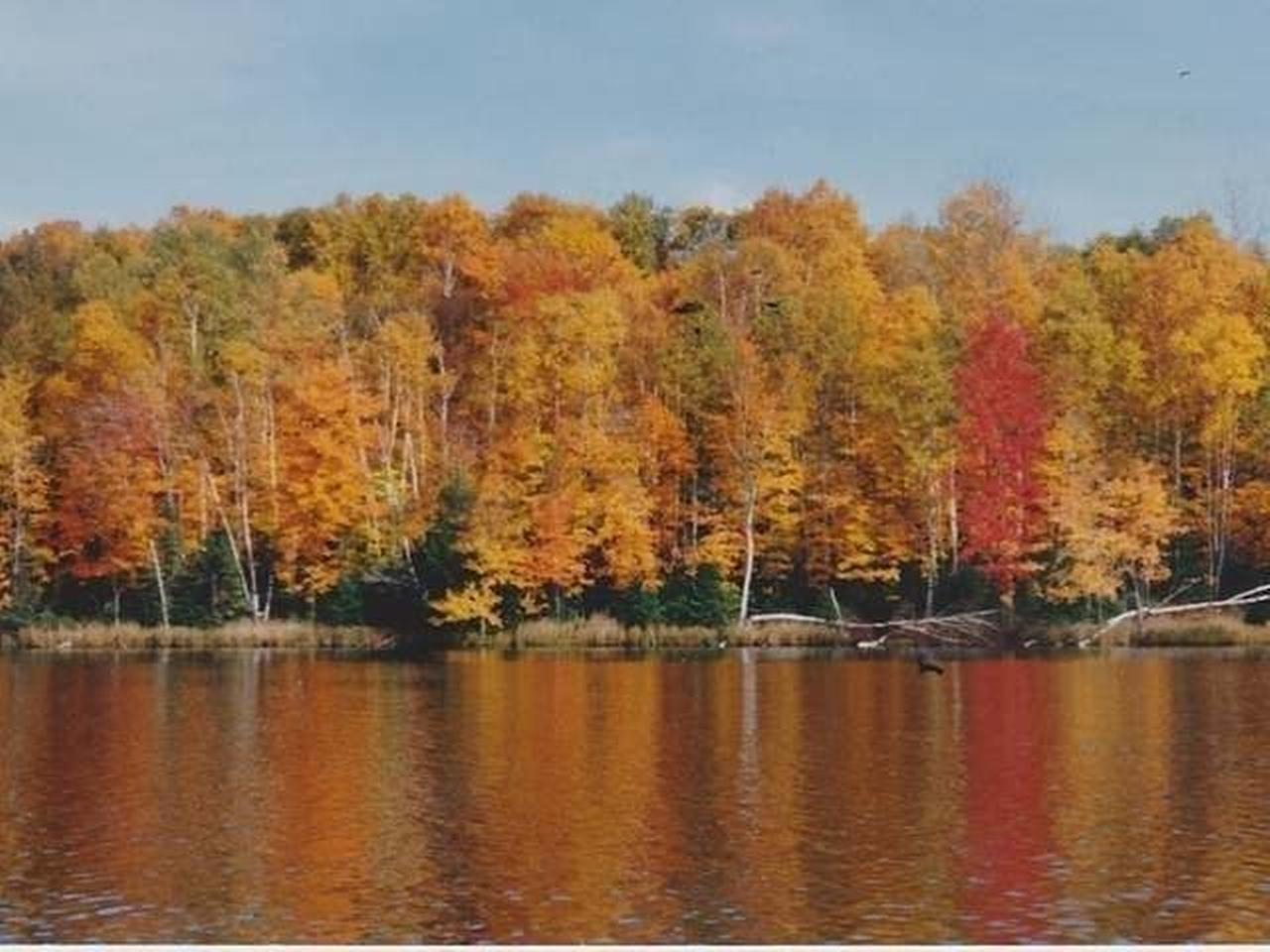 95 Kentuck Lake Road Phelps, WI 54554 - Photo 5 of 11 Gallery Image 5