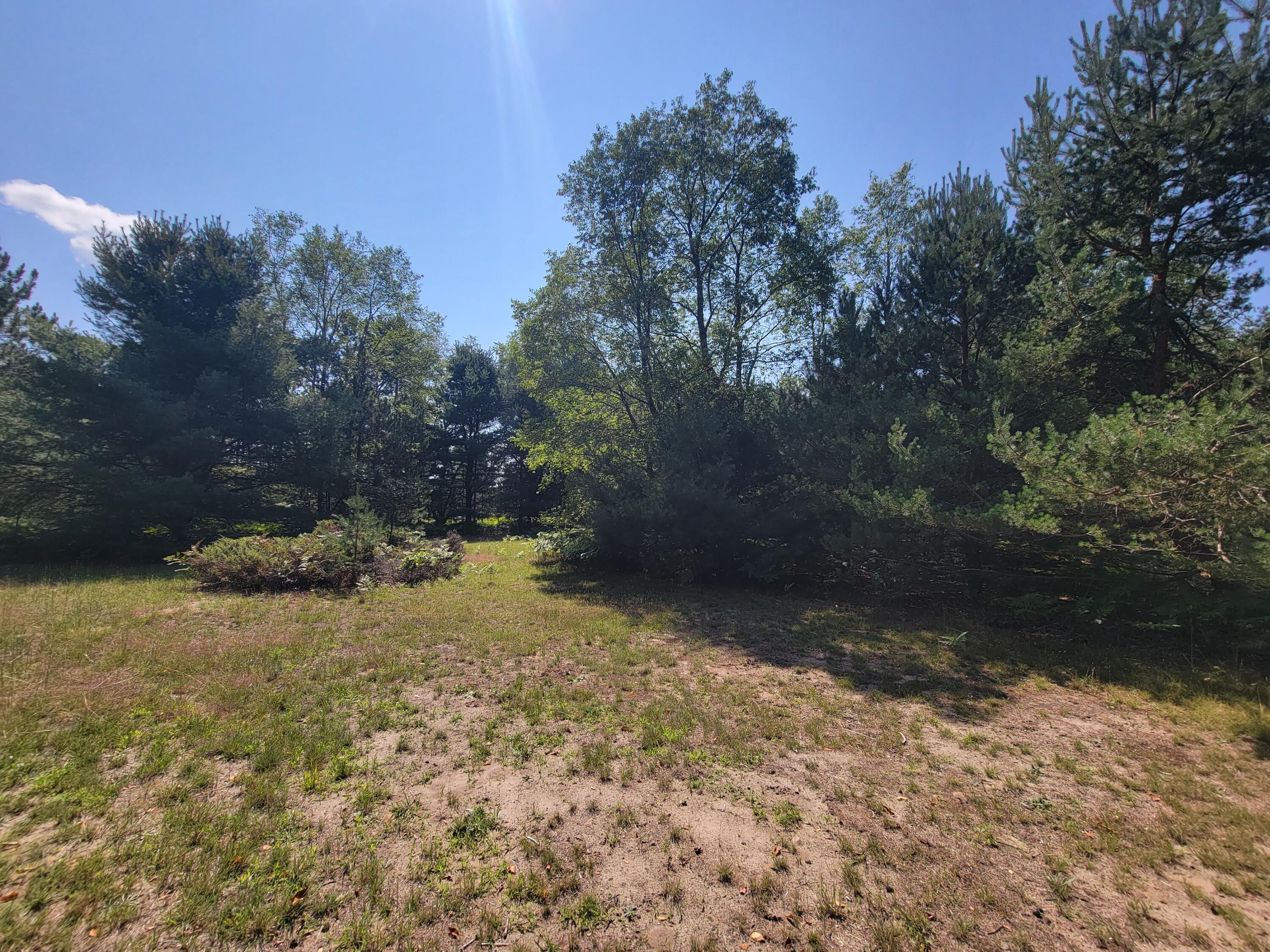 14975 Creamery Road Kaleva, MI 49645 - Photo 39 of 43 20230828_142350