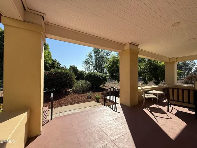 a outdoor space with patio couch and a potted plant