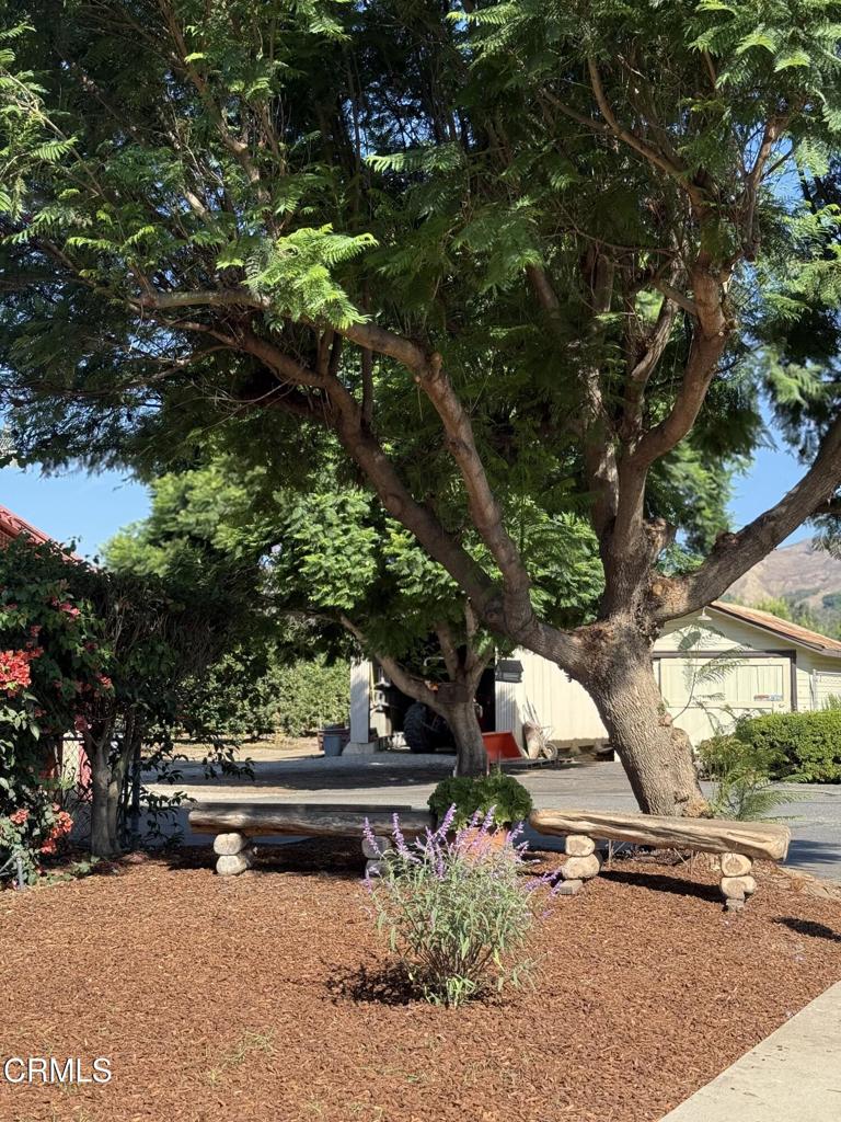 4645 Walnut Avenue Somis, CA 93066 - Photo 9 of 28