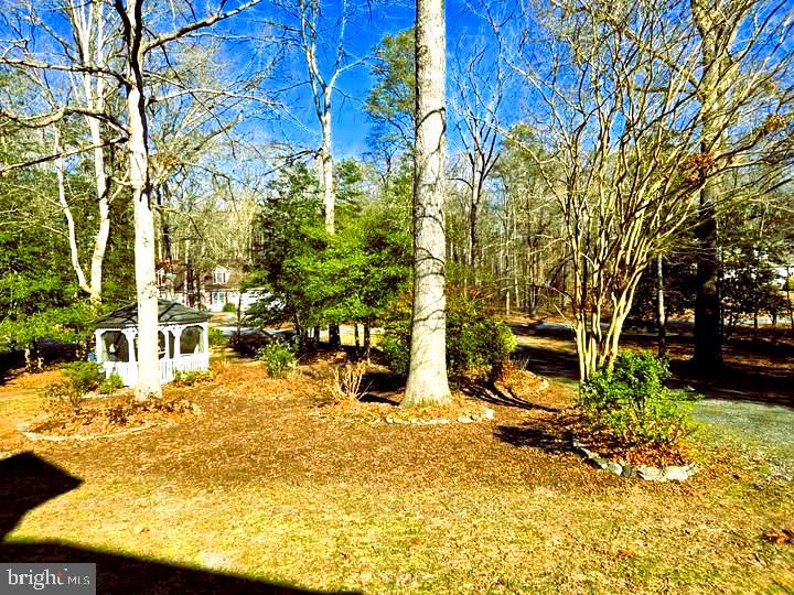 10958 Pit Road Seaford, DE 19973 - Photo 31 of 39