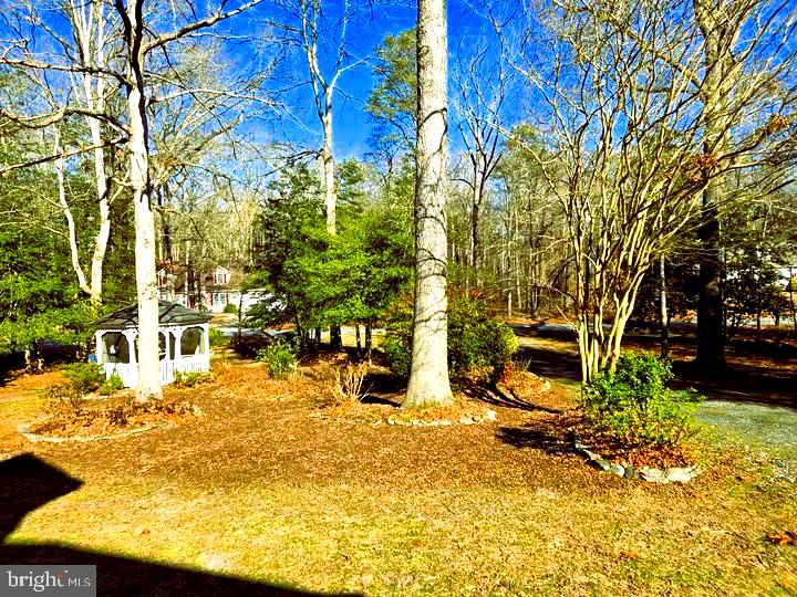 10958 Pit Road Seaford, DE 19973 - Photo 4 of 39