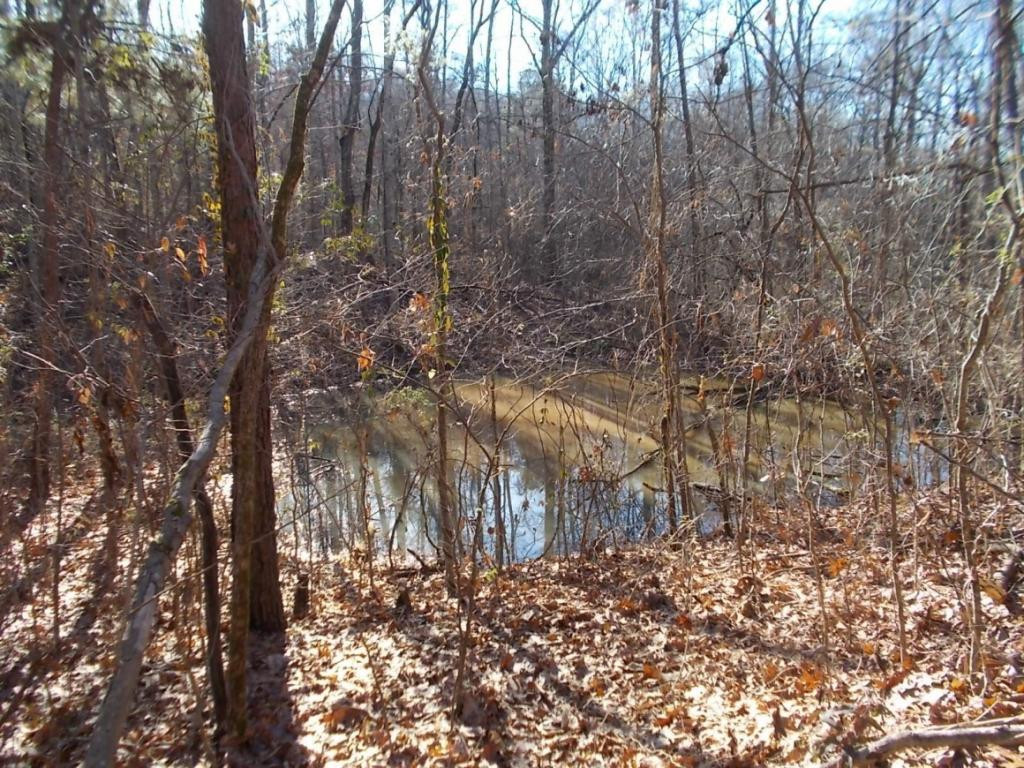 420 Doane Road, Unit 27 & 28 New Market, TN 37820 - Photo 10 of 20 Photo 10
