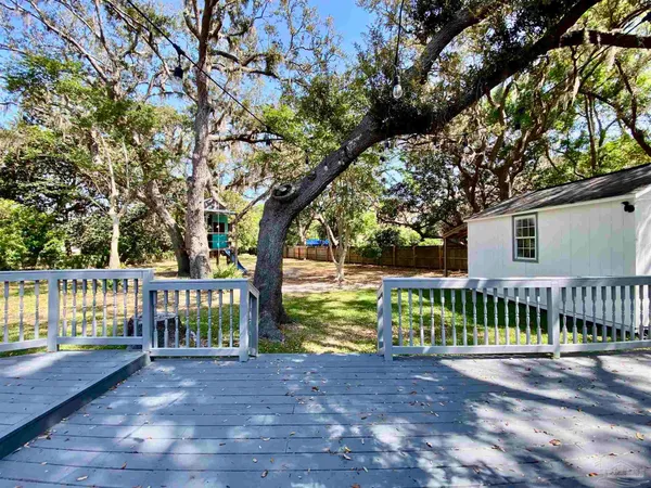 a view of a yard with a large tree