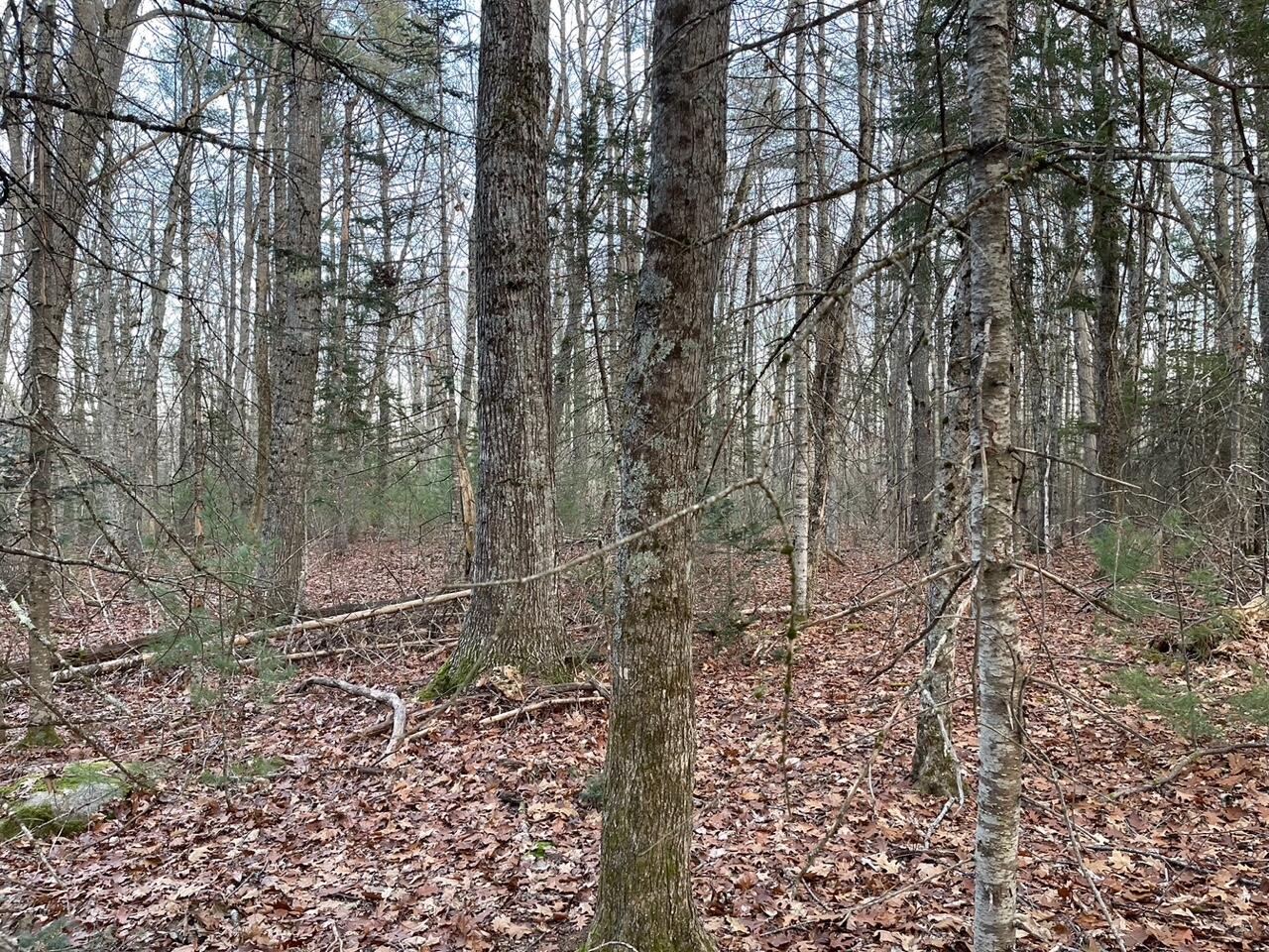 223 Priest Road Northport, ME 04849 - Photo 10 of 14 3