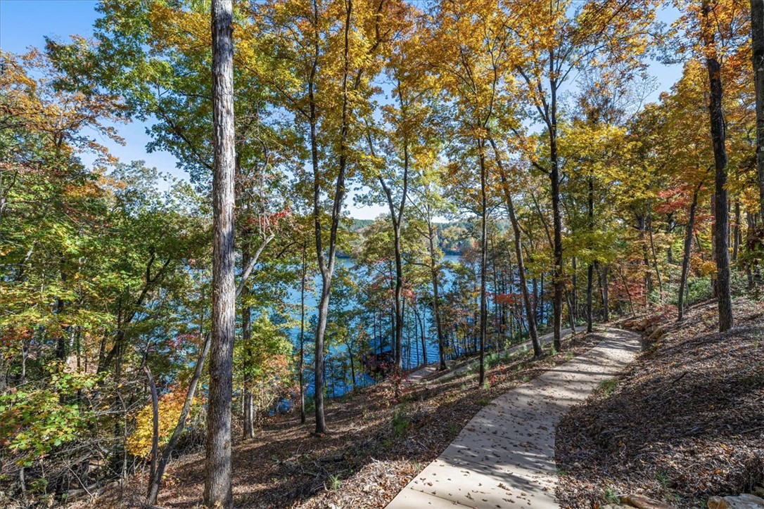 338 Long Cove Trail Salem, SC 29676 - Photo 28 of 50 Golf Cart accessible Path to the Private Dock