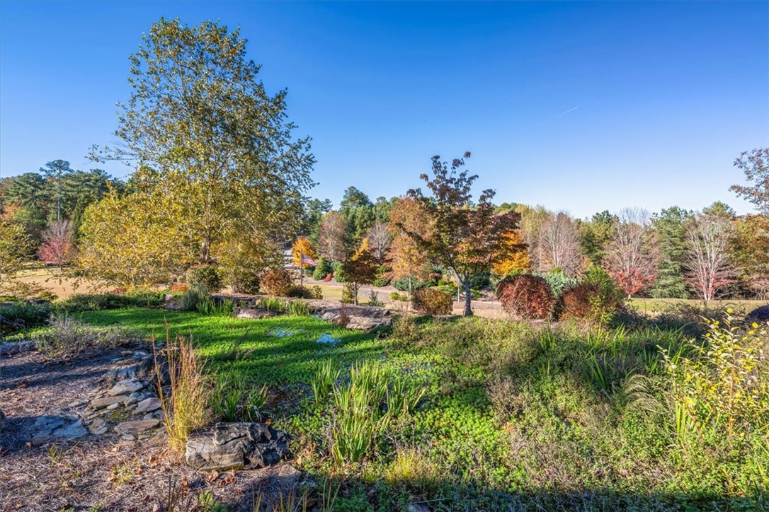 338 Long Cove Trail Salem, SC 29676 - Photo 35 of 50 Views from the Community Gazebo