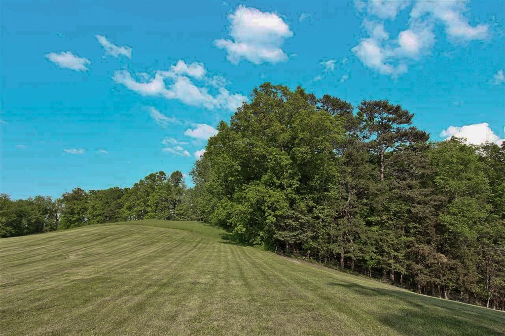 143 Tranquility Ridge Drive Newport, TN 37821 - Photo 9 of 21 Gallery Image 9