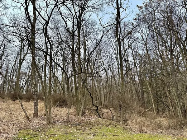 $125,500 | Tbd McHendry Street, Weirton, WV 26062