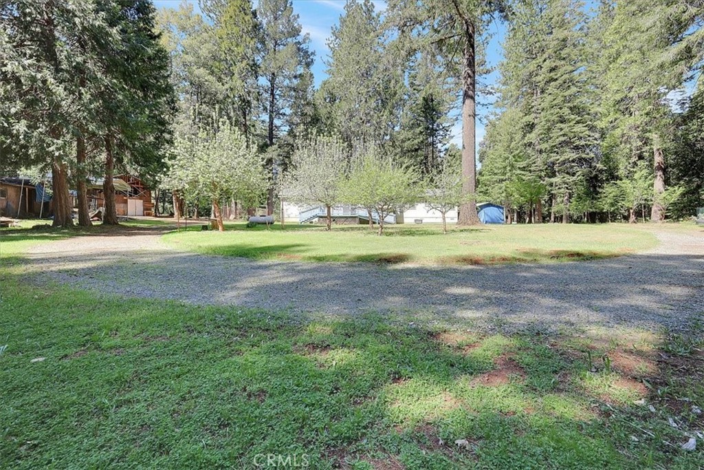138 Big Fir Road Forbestown, CA 95941 - Photo 44 of 53