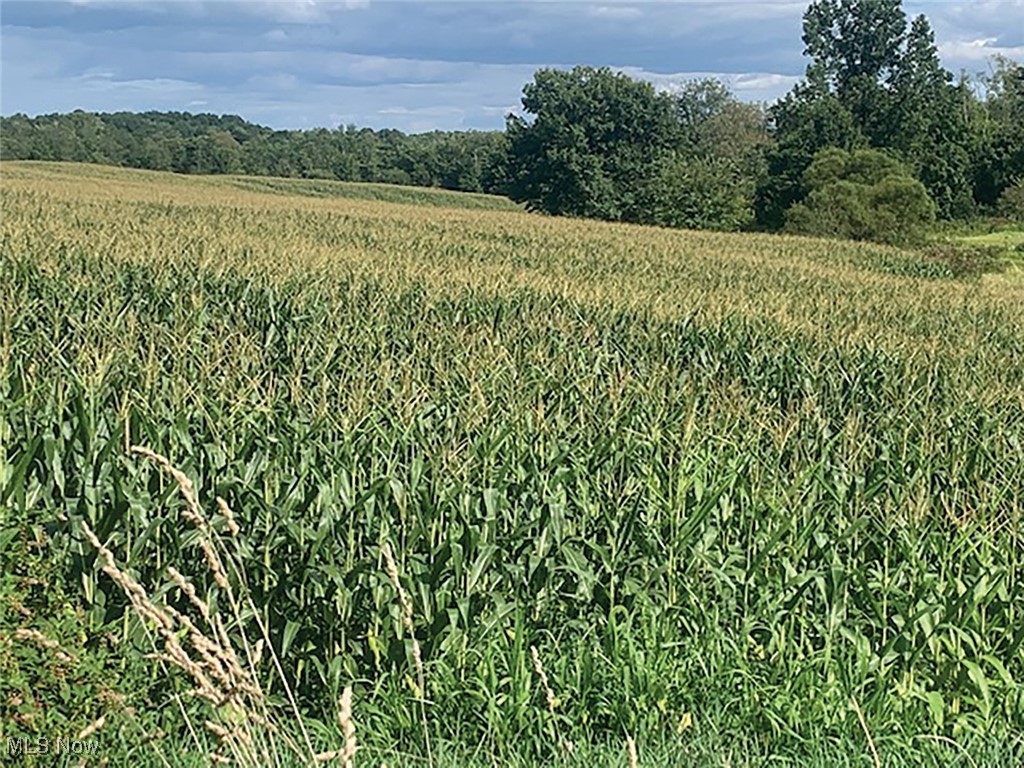 Stratton Road Salem, OH 44460 - Photo 2 of 3 View of nature featuring a rural view