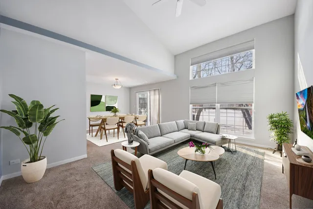 a living room with furniture potted plant and a window