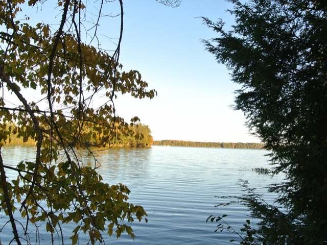 Lot 2 Shore Drive Rhinelander, WI 54501 - Photo 7 of 19 Gallery Image 7