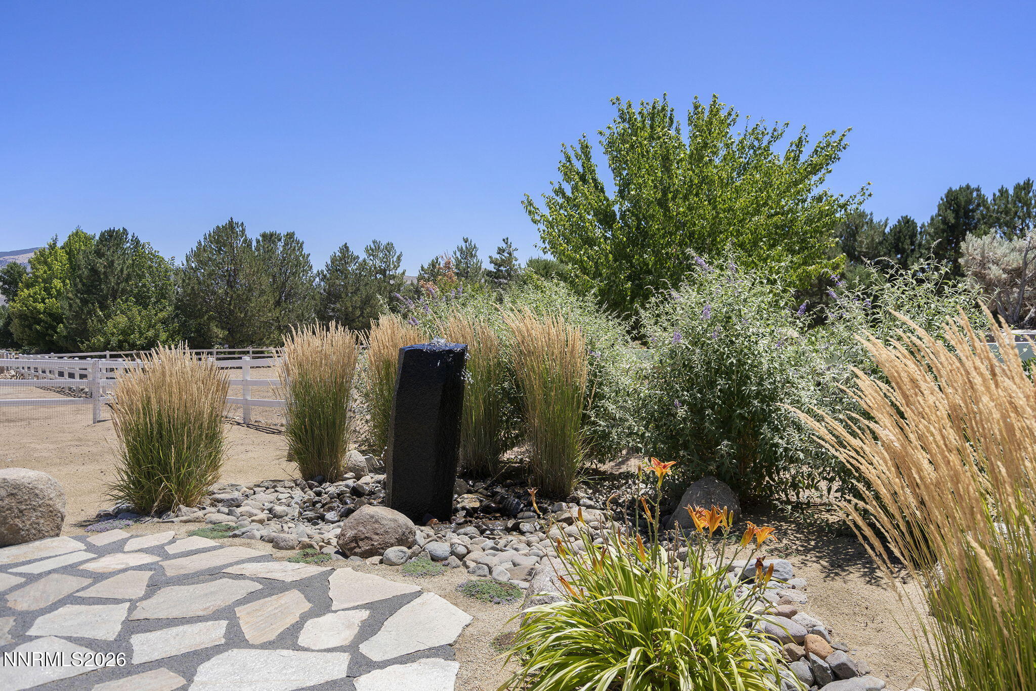 611 Rabe Way Carson City, NV 89701 - Photo 5 of 37 35-web-or-mls-_DSC0169