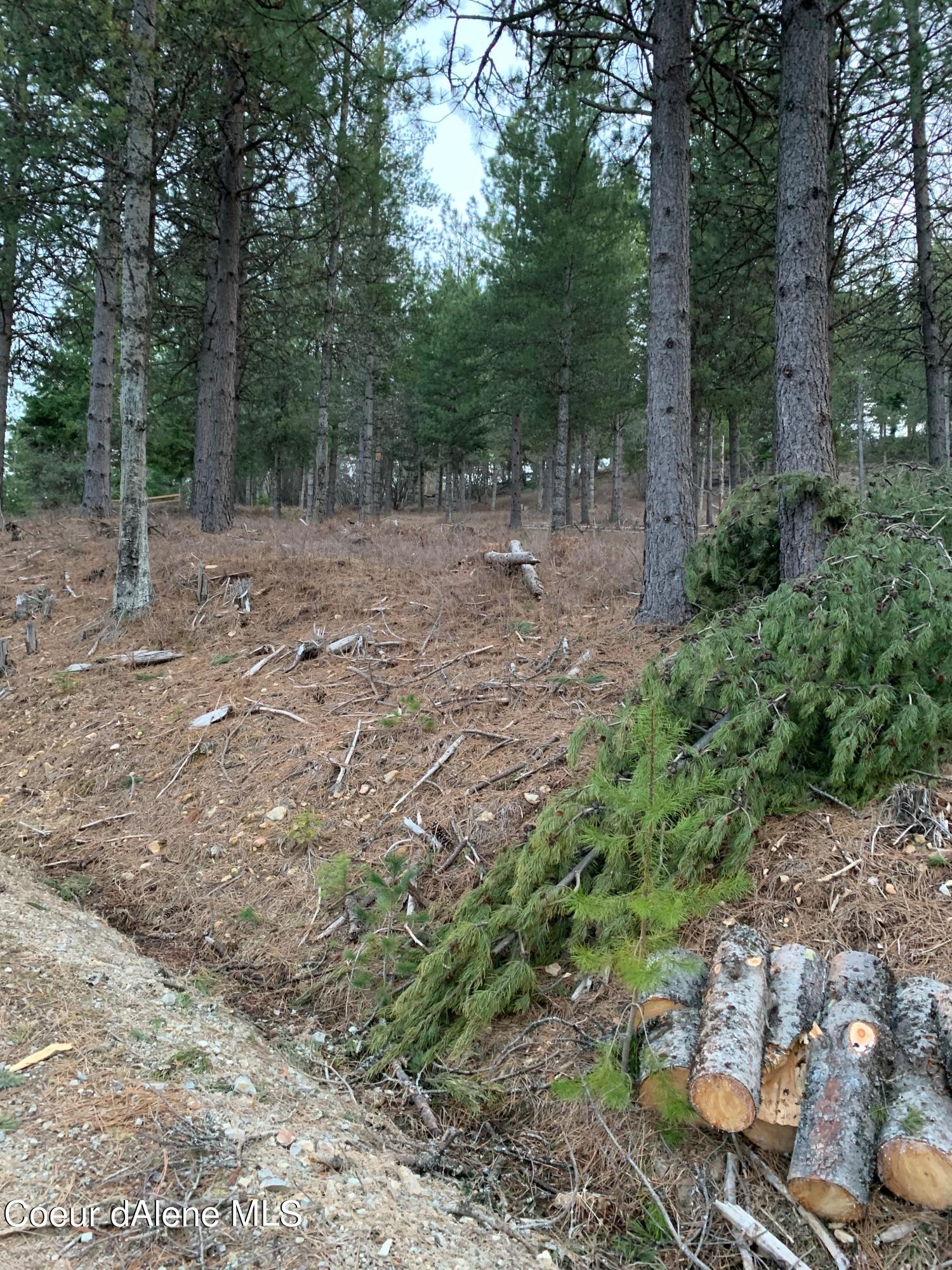 Nka Kelly Gulch Road Pinehurst, ID 83850 - Photo 1 of 1 NKA Kelly Gulch Rd Pinehurst