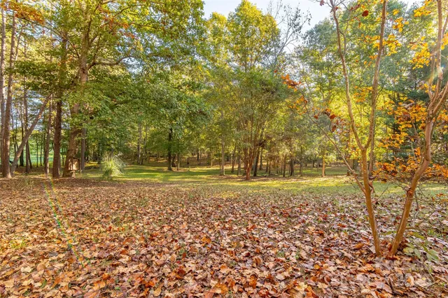 a view of a yard with trees