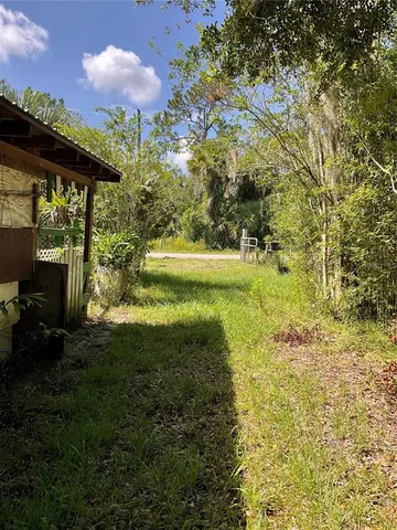 a view of a garden with plants