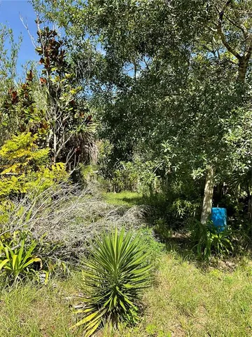 a view of house with backyard space