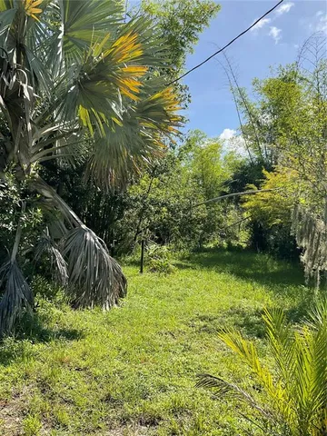 a green field with lots of trees in the background