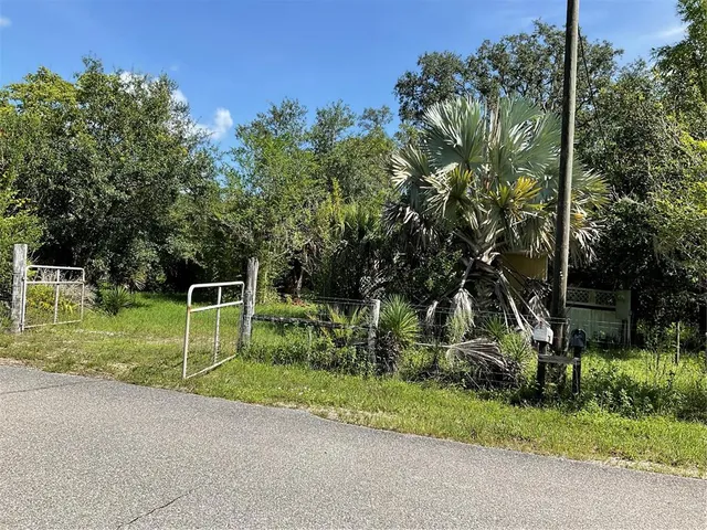 a view of a grassy field with trees