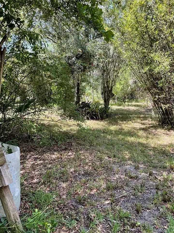a view of a garden with a fountain