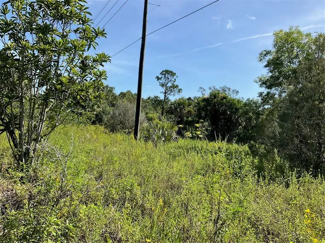 a view of a garden with a tree