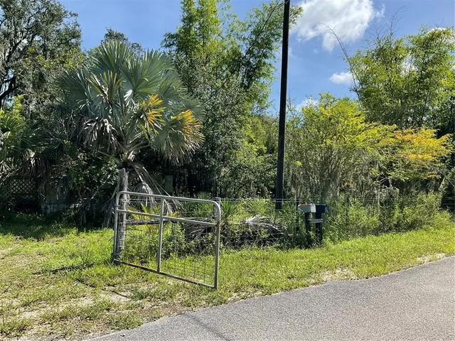 a view of backyard with green space