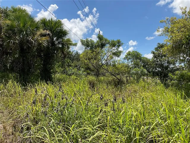 a view of a yard in front of the house