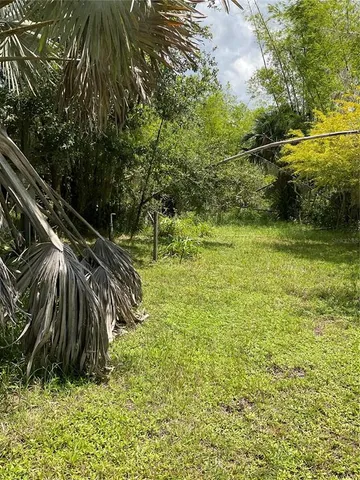 a backyard of a house with lots of green space and trees all around