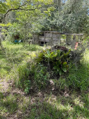 a view of outdoor space with trees all around