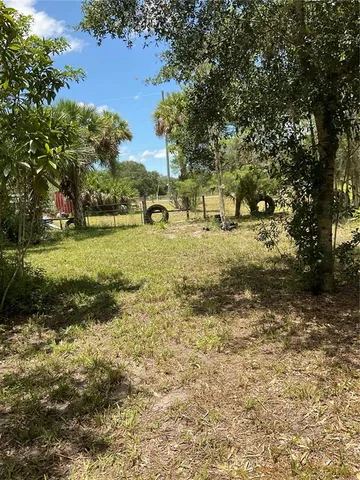 a view of a plant in a garden