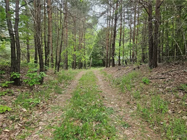 $126,900 | 2765 Highway 72, Hopkinton, NY 13676