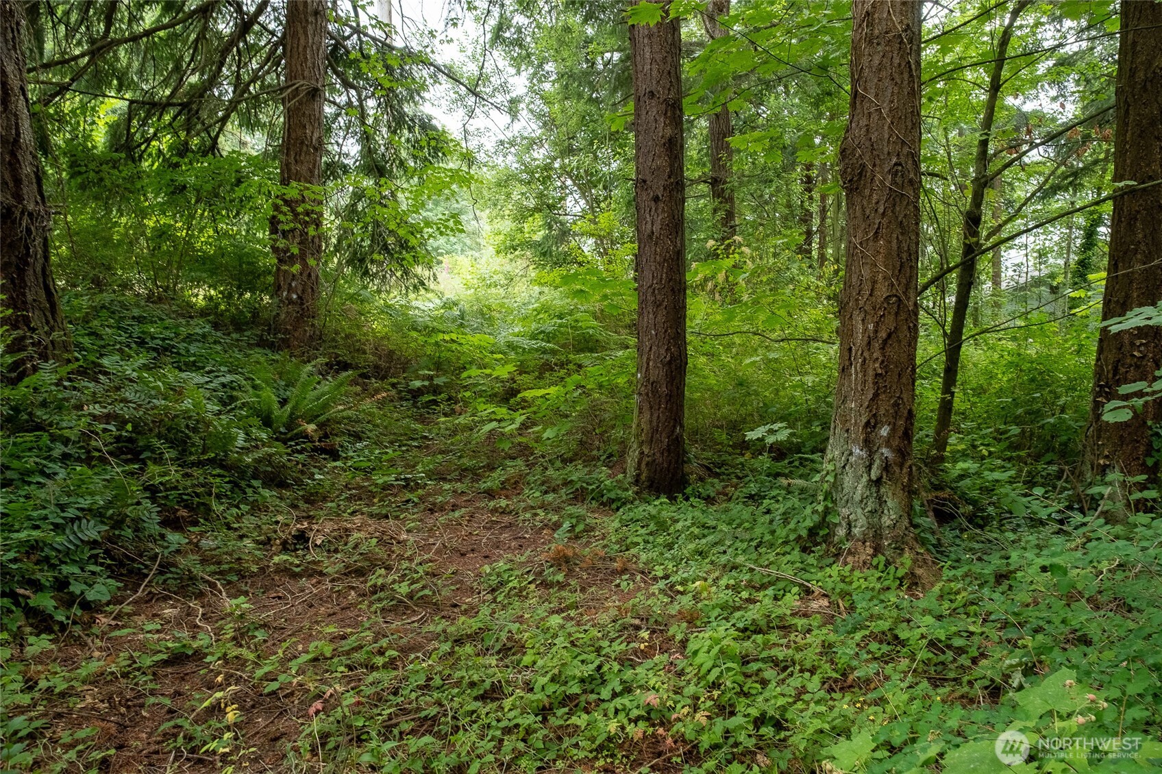 750-800 Samish Way Bellingham, WA 98229 - Photo 13 of 24